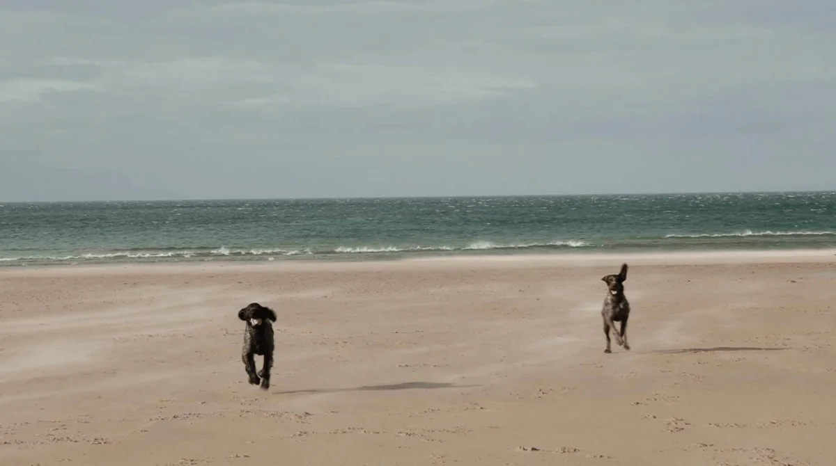Bamburgh Wedding Videographer 16